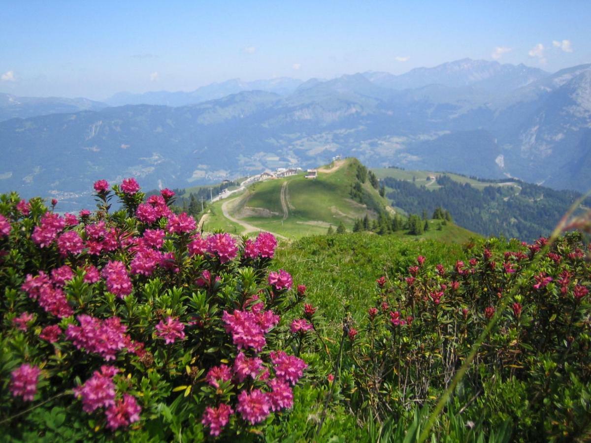 Apartamento Giffre Samoëns
